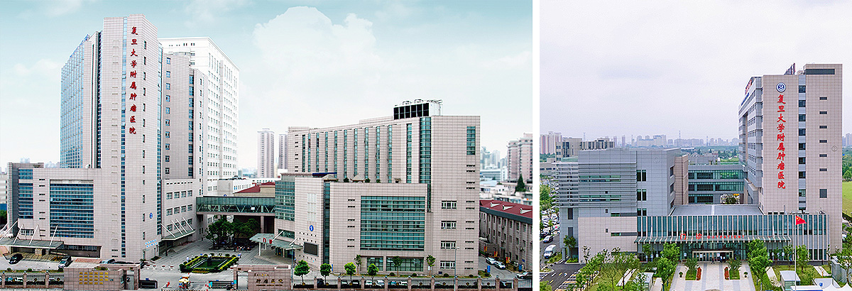 China's Global Leadership in Pancreatic Cancer: A 2024-2026 Deep Dive